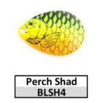 BLSH4 perch shad