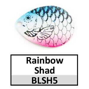 Size 3 Colorado Proscale Spinner Blades – BLSH5 rainbow shad