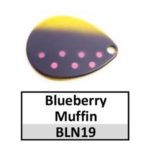 BLN19/N8 blueberry muffin