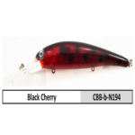 CBB-b-N194 black cherry