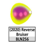 BLN256 reverse bruiser
