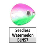 N57 Seedless Watermelon
