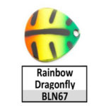 BLN67 rainbow dragonfly