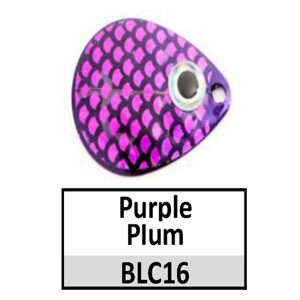 Size 4 Colorado Premium CP Back Blades – BLC16 purple plum