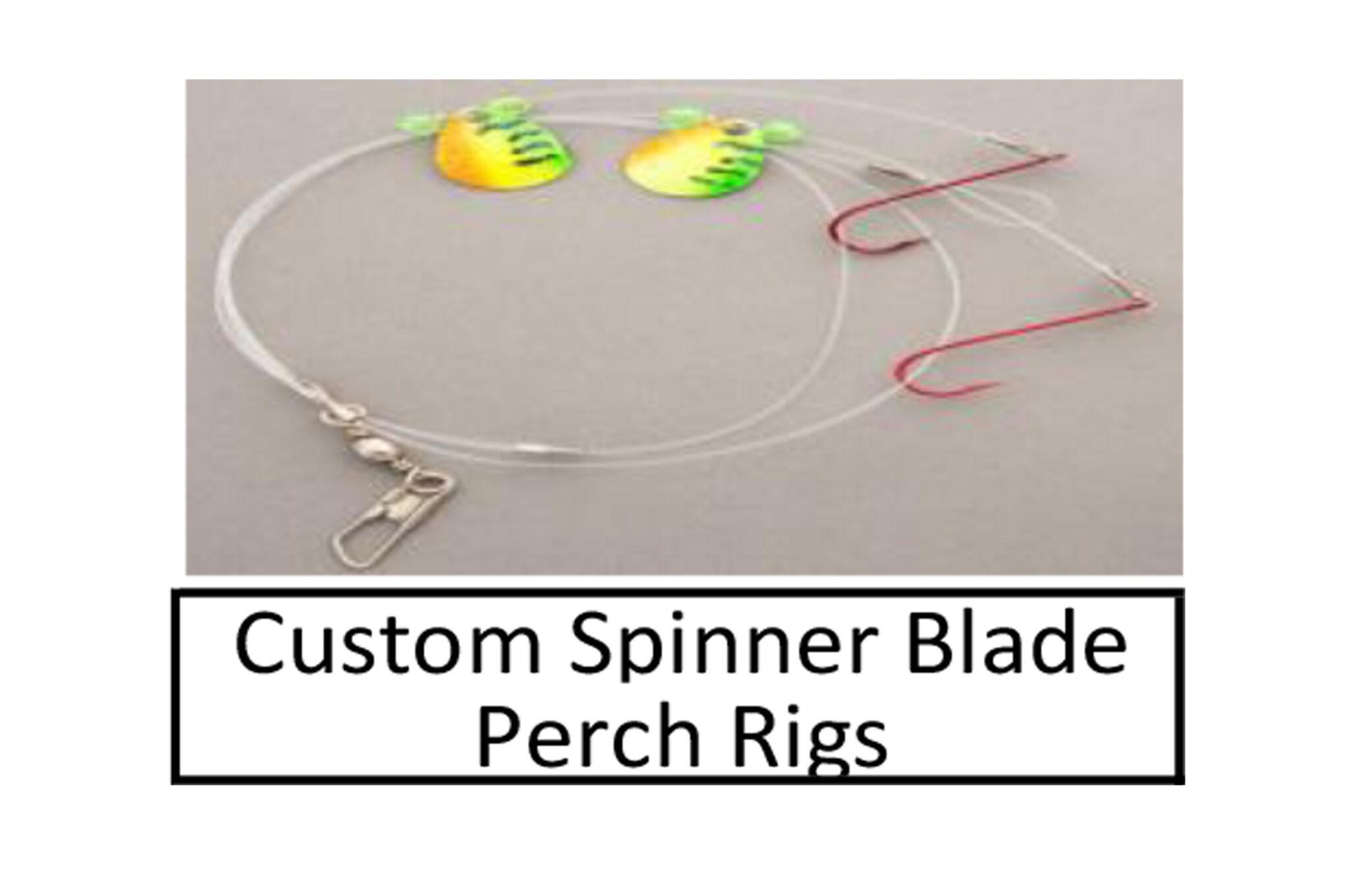 Perch Rigs D&B Fishing