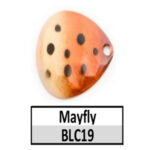 BLC19 mayfly