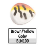 BLN100c Brown/Yellow Goby