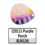 BLN136c Purple Perch
