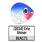 BLN171s erie shiner