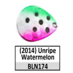 BLN174s unripe watermelon