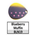 BLN19 Blueberry Muffin
