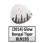 BLN193 bengal tiger