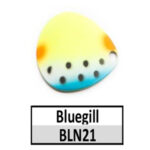 BLN21 Bluegill