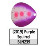 BLN239 purple squirrel