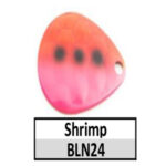 BLN24c Shrimp