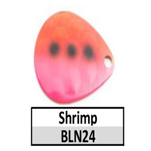 Size 4 Colorado Premium CP Spinner Blades – BLN24c Shrimp