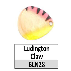 Size 4 Colorado Premium CP Spinner Blades – BLN28g Ludington Claw