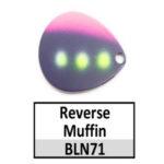 BLN71 Reverse Muffin