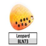 BLN73c Leopard