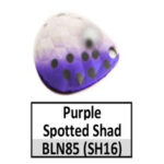 BLSH16s purple spotted shad