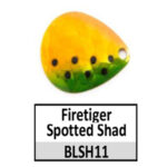 BLSH11 firetiger spotted shad