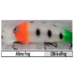 CBB-b-albino frog