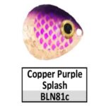 BLN81c Purple Splash