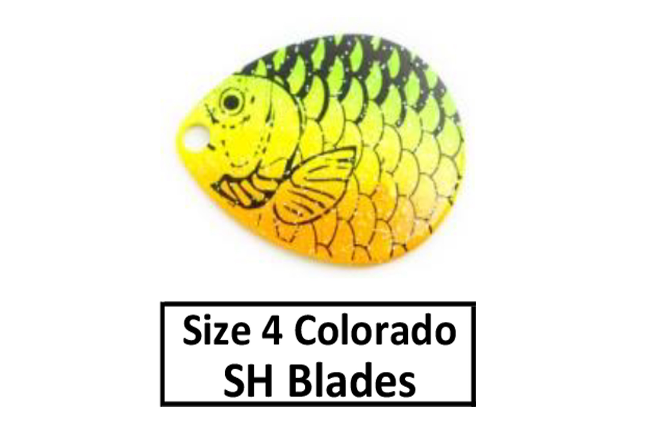 Size 4 Colorado Proscale Spinner Blades - D&B Fishing