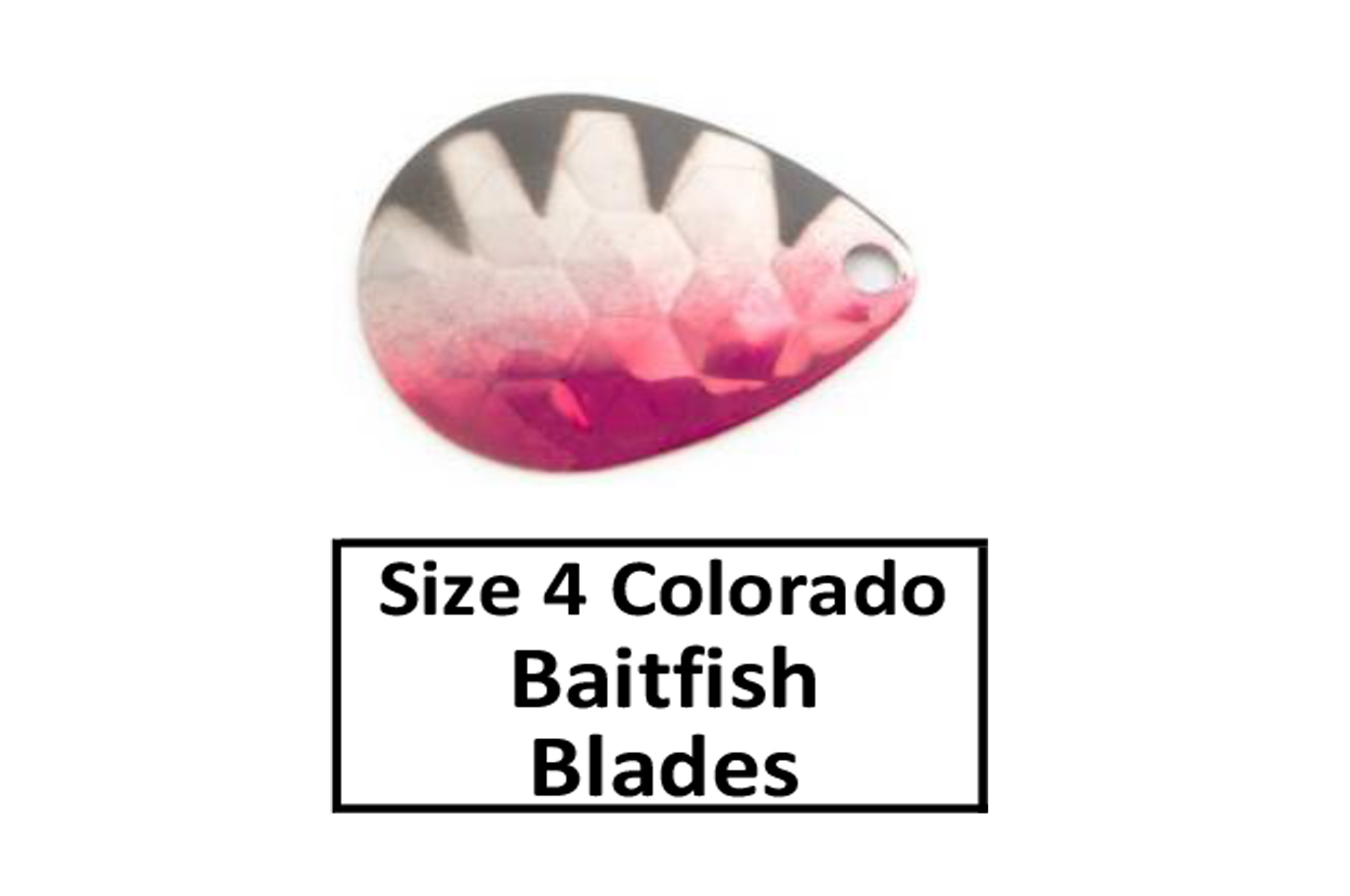 Size 4 Colorado Baitfish Perch Spinner Blades - D&B Fishing