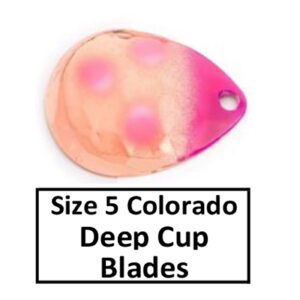 Deep Cup Size 5 Colorado Spinner Blades