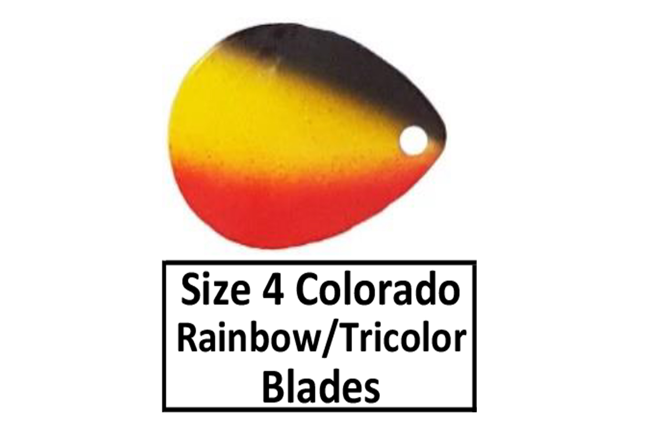 Size 4 Colorado Rainbow/Tri Spinner Blades - D&B Fishing