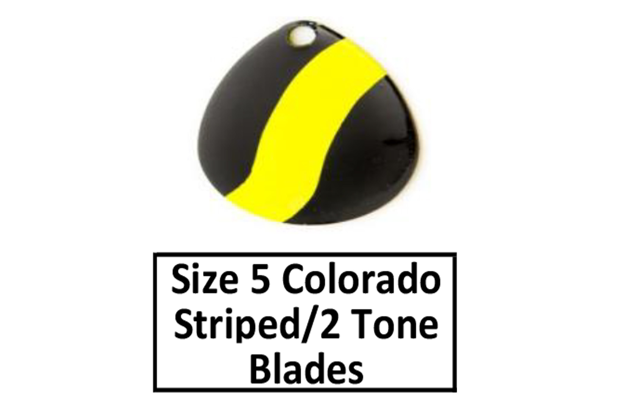 Size 5 Colorado Striped/2 Tone Spinner Blades - D&B Fishing