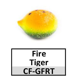 Corkies-Ball Floats Firetiger (CF-GFRT)
