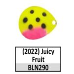 BLN290c Juicy Fruit