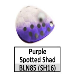 Size 4 Colorado Premium CP Spinner Blades – BLSH16s purple spotted shad