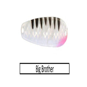 Big Brother Spoons (BBS)
