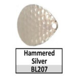 BL207 hammered silver