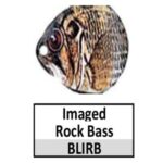 BLIRB Imaged Rock Bass