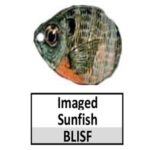 BLISF Imaged Sunfish