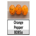 Orange Pepper-BD85o