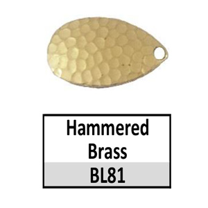 BL81 Hammered Brass Indiana