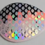 BL184hs White Perch w/ silver halo Colorado