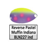 BLN227 Reverse Pastel Muffin Indiana