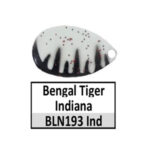 BLN193 bengal tiger Indiana