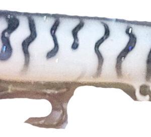 Body Baits Custom Painted UV enhanced – CBB-f11-redhead tiger