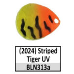 BLN313a Striped Tiger UV