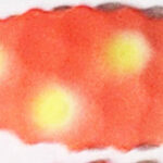 BLN196 sunspots willow