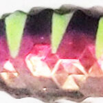 BLN323 Monarchy willow