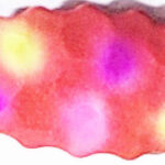 BLN336 fish food confusion UV willow
