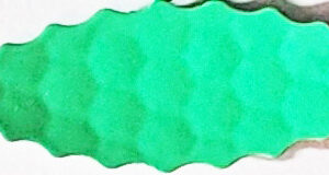 Willow Premium CP Back Blades